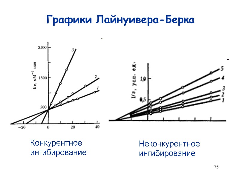 75 Графики Лайнуивера-Берка Конкурентное ингибирование Неконкурентное ингибирование
